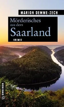 Marion Demme-Zech Mörderisches aus dem Saarland обложка книги