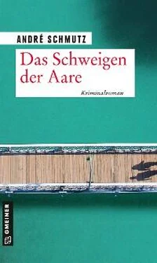André Schmutz Das Schweigen der Aare обложка книги