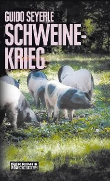 Guido Seyerle Schweinekrieg обложка книги