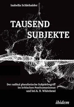 Isabella Schlehaider Tausend Subjekte обложка книги