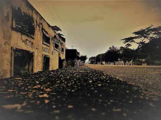 Desde la avenida principal la Ruta Nacional 43 o carrera 18 de Armero solo se - фото 5