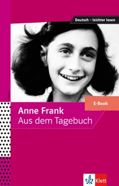 Anne Frank Anne Frank – Aus dem Tagebuch обложка книги