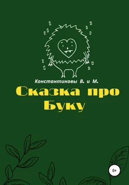 Владимир Константинов Сказка про Буку обложка книги