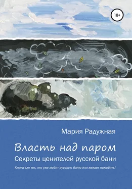 Мария Радужная Власть над паром обложка книги