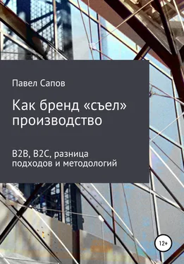 Павел Сапов Как бренд «съел» производство: B2B, B2C, разница подходов и методологий обложка книги