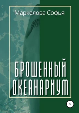 Софья Маркелова Брошенный океанариум обложка книги