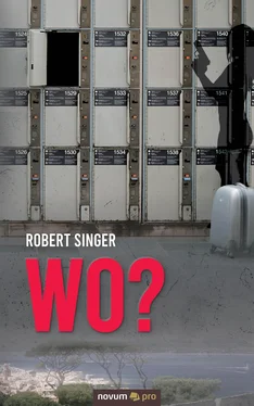 Robert Singer Wo? обложка книги