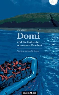 Ute Vogell Domi und die Höhle der schwarzen Drachen обложка книги