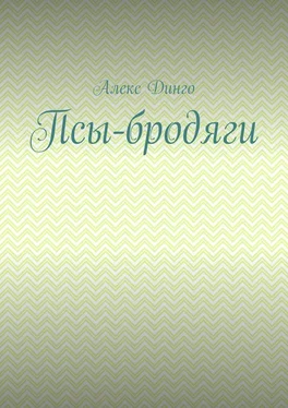 Алекс Динго Псы-бродяги обложка книги