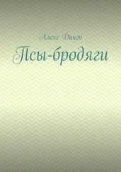 Алекс Динго - Псы-бродяги