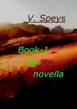 V. Speys Book-1 Tir novella обложка книги