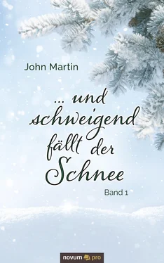 John Martin ... und schweigend fällt der Schnee обложка книги