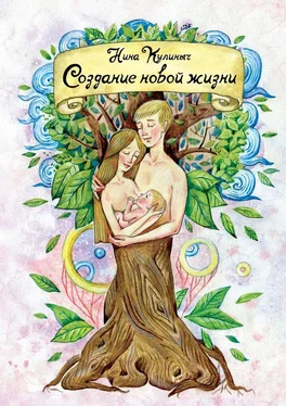 Нина Кулиныч Создание новой жизни. Для женщин, планирующих беременность и рождение здорового малыша обложка книги