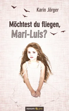 Karin Jörger Möchtest du fliegen, Mari-Luis? обложка книги