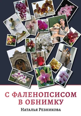 Наталья Резникова С фаленопсисом в обнимку обложка книги
