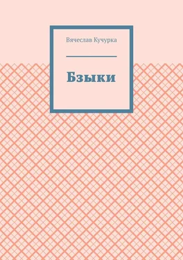 Вячеслав Кучурка Бзыки обложка книги