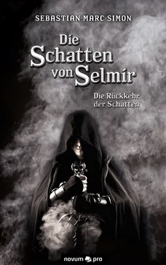 Sebastian Marc Simon Die Schatten von Selmir обложка книги
