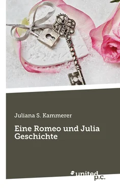 Juliana S. Kammerer Eine Romeo und Julia Geschichte обложка книги