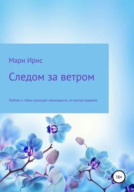 Мари Ирис Следом за ветром обложка книги