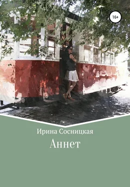 Ирина Сосницкая Аннет обложка книги