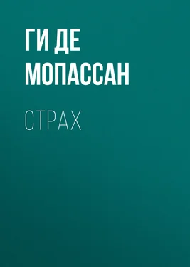 Ги де Мопассан Страх обложка книги