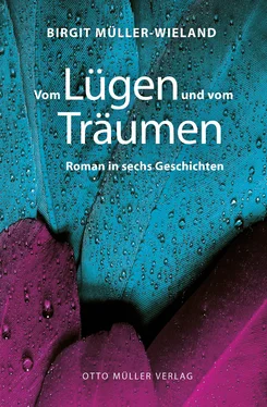 Birgit Müller-Wieland Vom Lügen und vom Träumen обложка книги