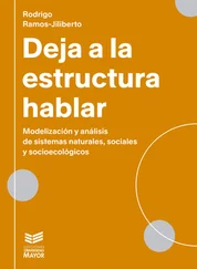 Rodrigo Ramos Jiliberto - Deja a la estructura hablar