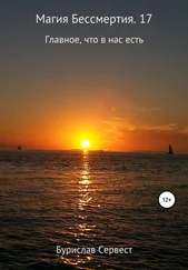Бурислав Сервест - Магия Бессмертия. 17. Главное, что в нас есть
