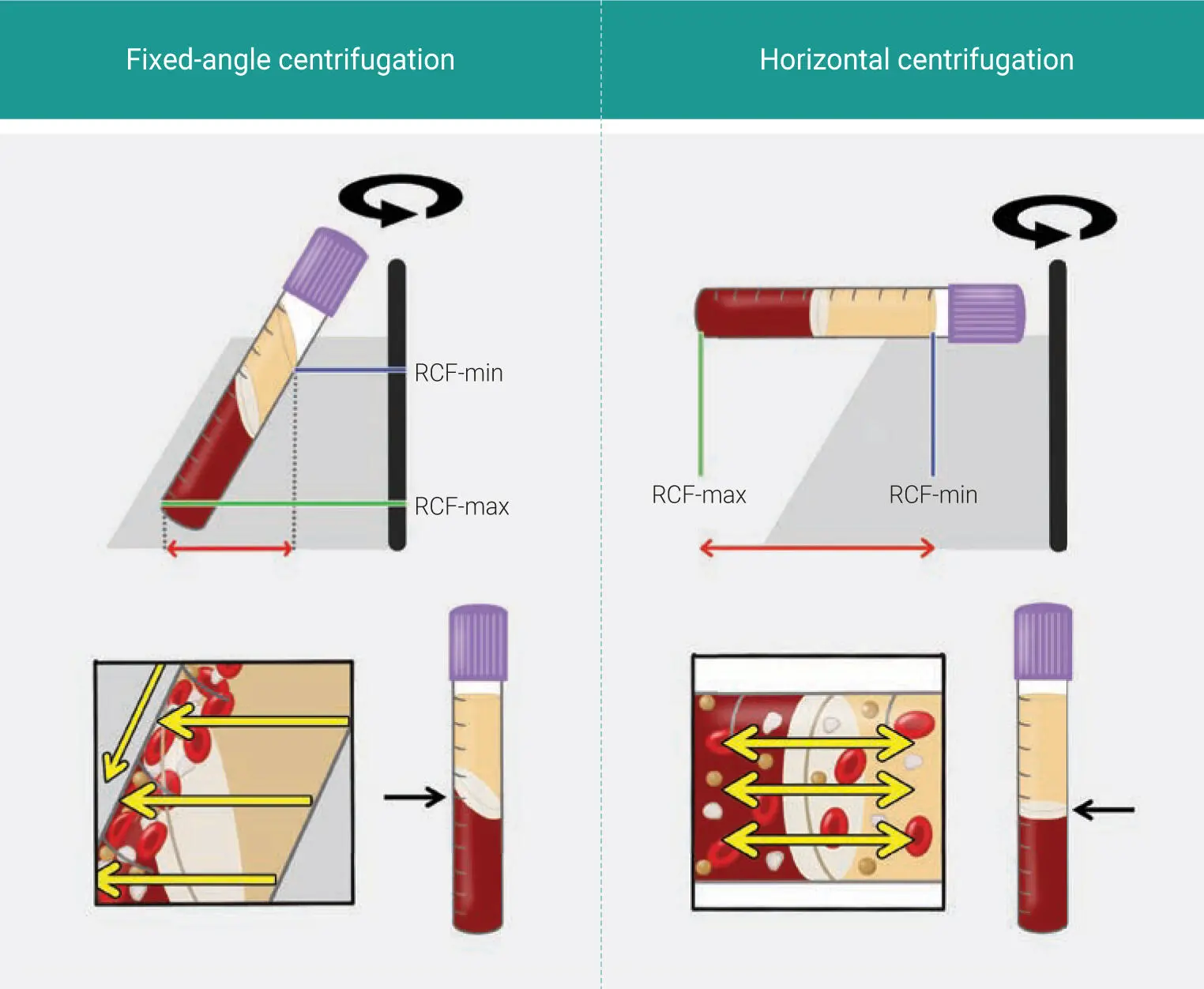 Fig 38Illustrations comparing fixedangle and horizontal centrifuges With - фото 72