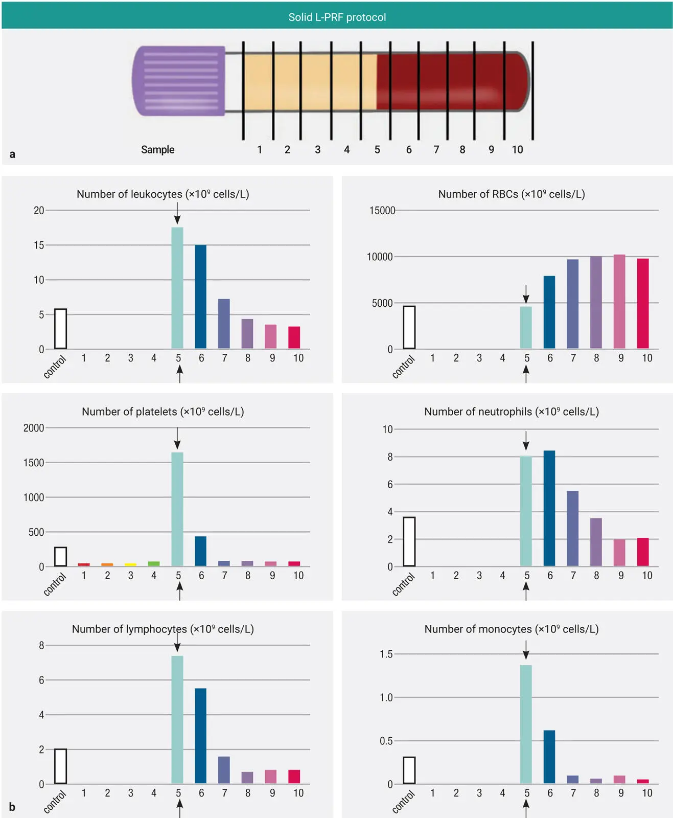 Fig 214 a Separation of the 10mL tube into 10 1ml layers for pipetting - фото 37