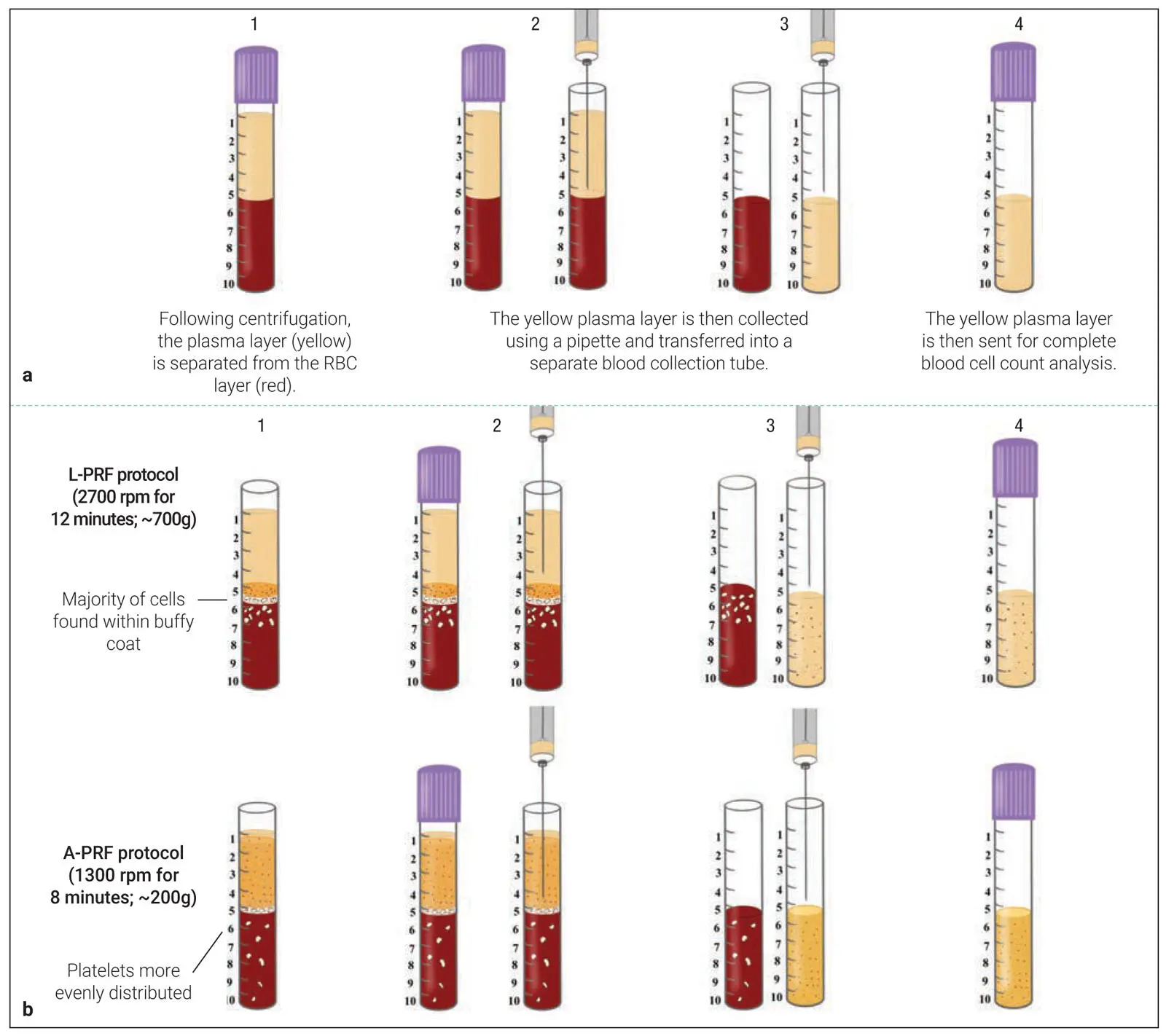 Fig 212 a One method to investigate cells found in PRPPRF is to send the - фото 34