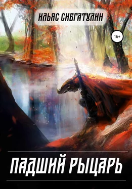 Ильяс Сибгатулин Падший рыцарь обложка книги