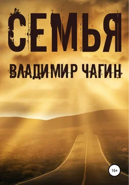 Владимир Чагин Семья обложка книги