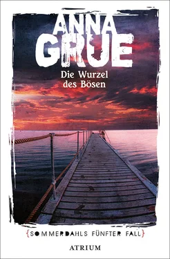Anna Grue Die Wurzel des Bösen обложка книги