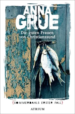 Anna Grue Die guten Frauen von Christianssund обложка книги