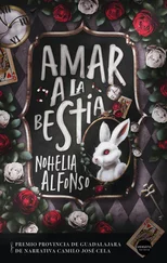 Nohelia Alfonso - Amar a la bestia