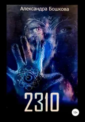 Александра Бошкова - 2310