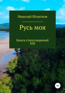 Николай Игнатков Русь моя. Книга XIII обложка книги