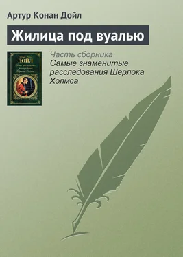 Артур Конан Дойль Жилица под вуалью обложка книги