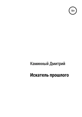 Дмитрий Каминный Искатель прошлого обложка книги