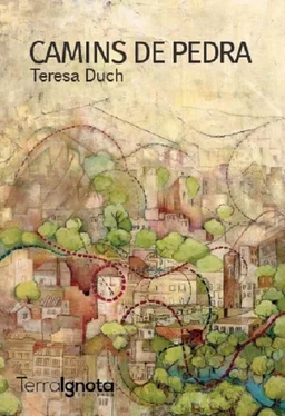 Teresa Duch Camins de pedra обложка книги