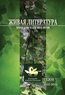 Array Коллектив авторов Живая Литература. Произведения из лонг-листа премии. Сезон 2011-2012 обложка книги