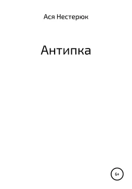 Ася Нестерюк Антипка обложка книги