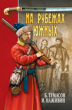 Борис Тумасов На рубежах южных (сборник) обложка книги