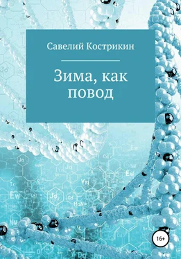 Савелий Кострикин Зима, как повод обложка книги