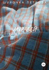 Шурочка Петрова - Муравей