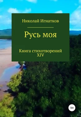 Николай Игнатков Русь моя. Книга XIV обложка книги