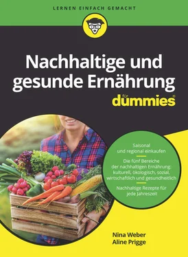 Nina Weber Nachhaltige und gesunde Ernährung für Dummies обложка книги