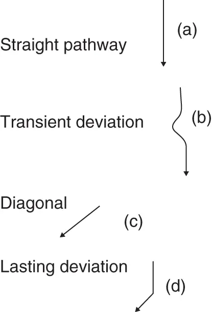 Figure 33Diagrammatic representation of mandibular movements If the pathway - фото 38