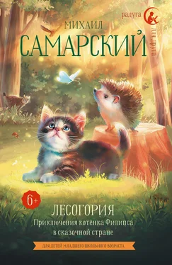 Михаил Самарский Лесогория. Приключения котёнка Филипса в сказочной стране обложка книги